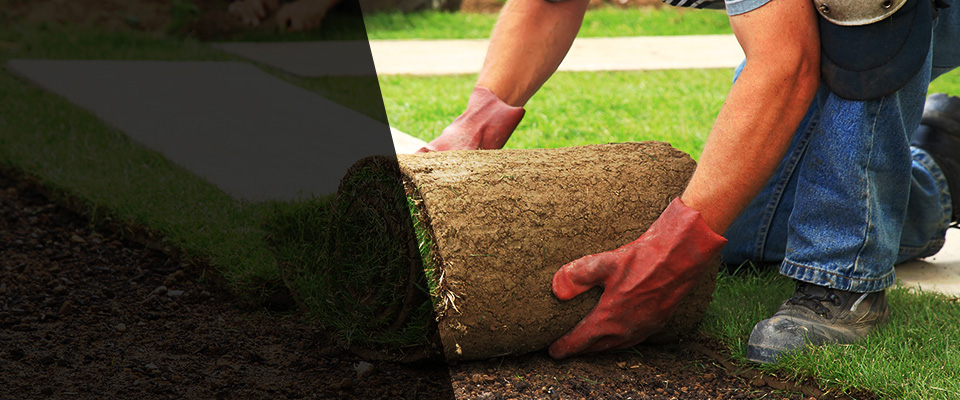 Palmyra Landscapers